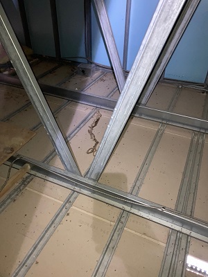 Raccoon in Attic Removal - Critter Control in Atlanta, GA - Raccoon